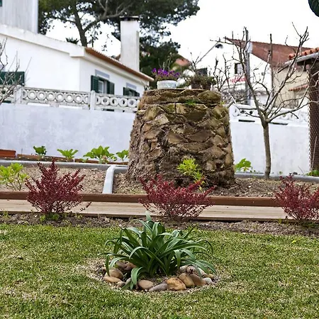 Casa Lameiras Guest house Mafra